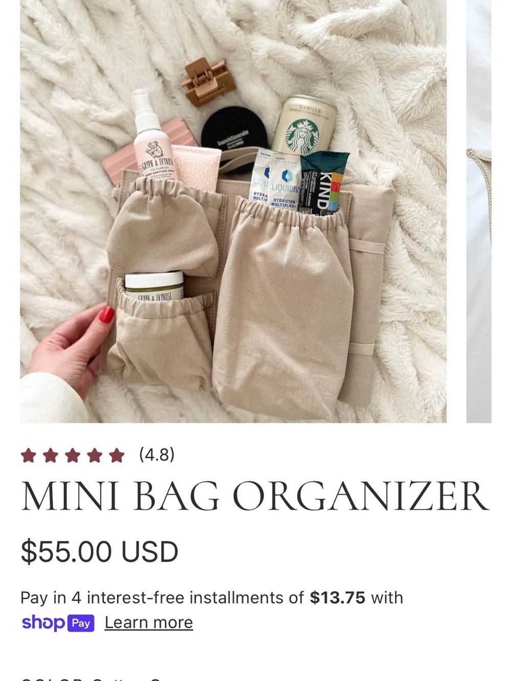 Tote SavvyMini Bag Organizer